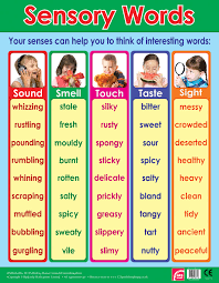 Sensory Words Literacy School Poster