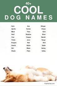 cool dog names meanings pupnames