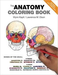 Human muscle col anatomy and physiology coloring workbook chapter anatomy coloring book chapter 7 anatomy and physiology coloring pages anatomy coloring workbook 3rd edition. The Anatomy Coloring Book 0642688054786 Medicine Health Science Books Amazon Com