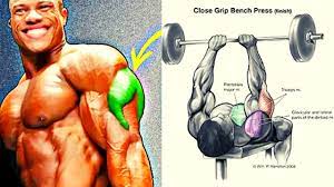 m musculation triceps