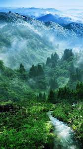 nature mist mountain wood forest river