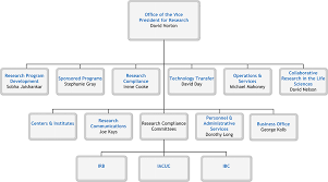 Organizational Charts In Healthcare