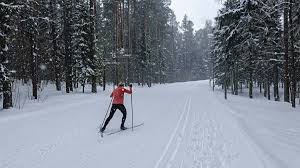 cross country skiing workouts for