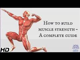 how to build muscle strength a