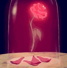 In the traditional fairy tale, the wilting of the rose symbolizes beauty leaving the beast, making us wonder if their love is going. Beauty And The Beast Rose Gifs Tenor