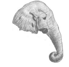 Gajah adalah mamalia besar dari famili elephantidae dan ordo proboscidea. Sketsa Kepala Gajah By Eurlich On Deviantart
