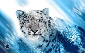 66 snow leopard wallpaper