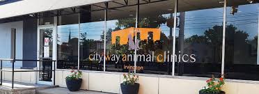 city way clinics irvington