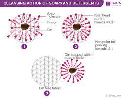 Cleansing Action Of Soaps And