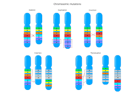 chromosome mutations biology