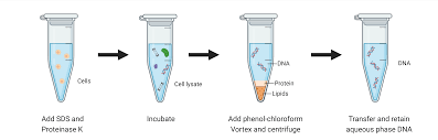 overview of dna extraction methods