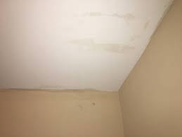Guide To Mold On Walls Removal
