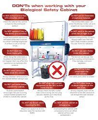 safe use of biological safety cabinet