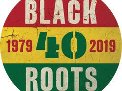 Black Roots Reverbnation