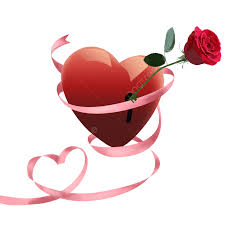 romantic rose hd transpa red rose