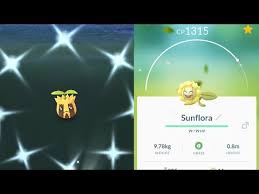 We Caught Shiny Sunkern Pokemon Go Shiny Sunkern Evolves Into Shiny Sunflora