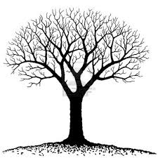 Free Family Tree Cliparts Download Free Clip Art Free Clip Art On