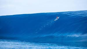 qualities of a surfer 5 aspects that