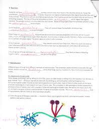 Fungi coloring worksheet answer key notes and ryanbreaux co image information name hour six kingdoms coloring worksheet pages 1 2 text image information: Https Mssimpsonheritage Weebly Com Uploads 2 3 6 1 23611004 Fungus Worksheet Ans Pdf