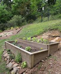 Organic Raised Bed On A Sloped Yard