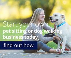 Pet Sitting Business How To Start A Pet Sitting Business