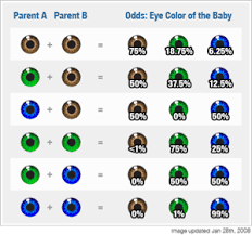Eye Color Chart March 2014 Babies Forums What To Expect
