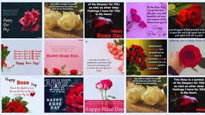 happy rose day rose day wishes