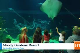 moody gardens spring events