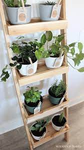 Diy Plant Ladder Shelf A Er