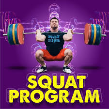 12 week squat program for strength