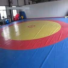 pvc wrestling mat size 12mtr x 12mtr