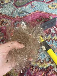 this broom gets hair out of the carpet