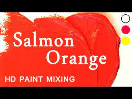 Hd Paint Mixing Salmon Orange Oil