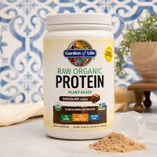 Raw Organic Protein Powder Chocolate