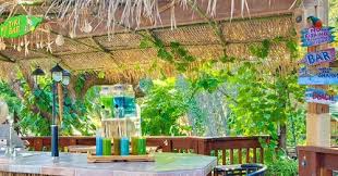 Beach Tiki Bar Ideas For The Home