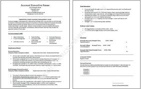 Cv Examples Uk        Professional resumes example online Richardson Pest Solutions