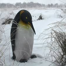 Penguin Statue Jardinchic