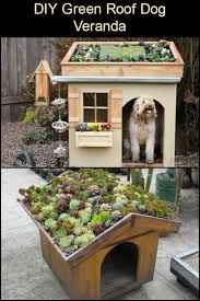 Awesome Diy Green Roof Dog Veranda
