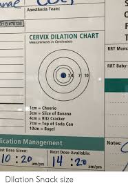 Anesthesia Team H B 70138 Cervix Dilation Chart