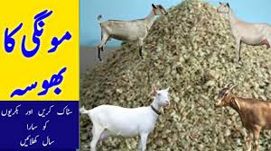 Goat Feed Formula Goat Food Management Goat Dry Food Goat Feed In Pakistan