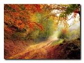 Jesień obraz na płótnie do salonu krajobraz 50x75