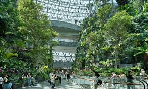 Jewel changi is home to what's now the world's tallest indoor waterfall — called the hsbc rain vortex, and is surrounded by tens of thousands of trees, plants, and shrubs. Designing An Airport To Be More Than Just A Gateway