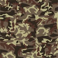 brown camouflage background vector for