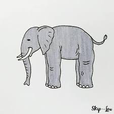 Elephant Drawing Skip To My Lou