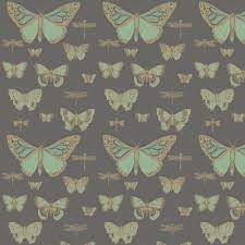 Butterflies and Dragonflies by Cole & ...