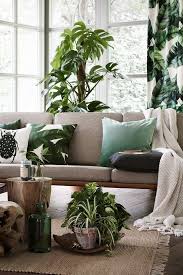 25 Bold And Cool Tropical Living Rooms