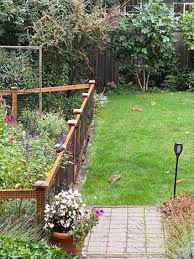 Rabbit Fence In Wa