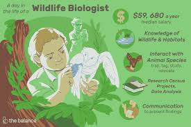 Wildlife Biologist Job Description Salary Skills More