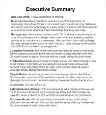 Sample Executive Summary Report 9 Summary Report Templates
