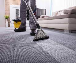 pearland carpet cleaning pros